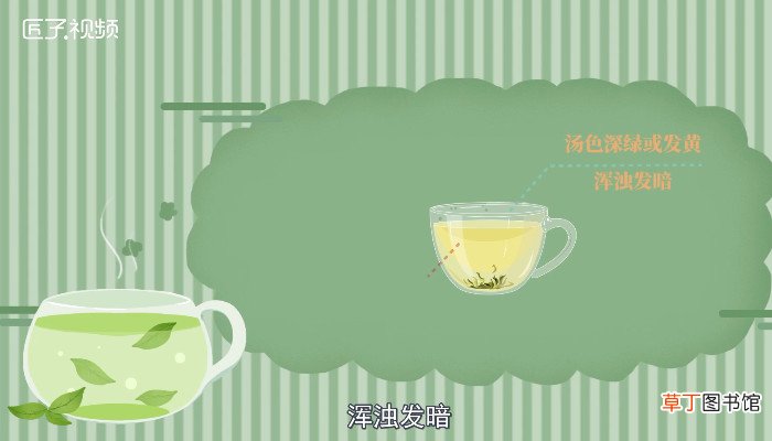 信阳毛尖属于什么茶