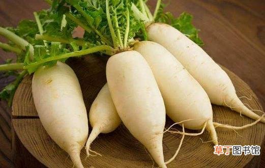 想要健康长寿 看看长寿老人们都爱吃的食物