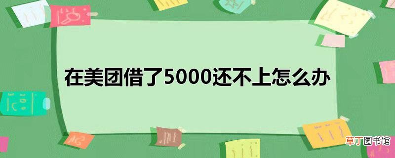 在美团借了5000还不上怎么办