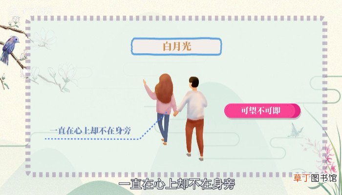 白月光是什么意思