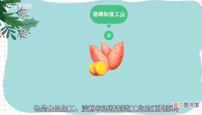 红薯怎么保存