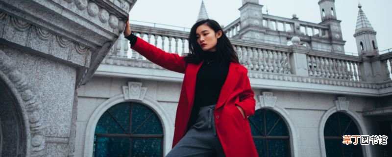 皮草和貂的区别是什么皮草和貂有什么不同