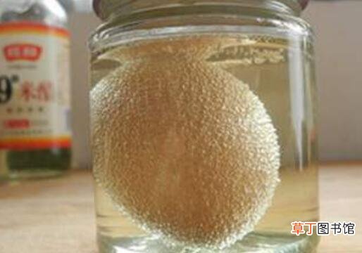 醋蛋液的功效与作用及做法