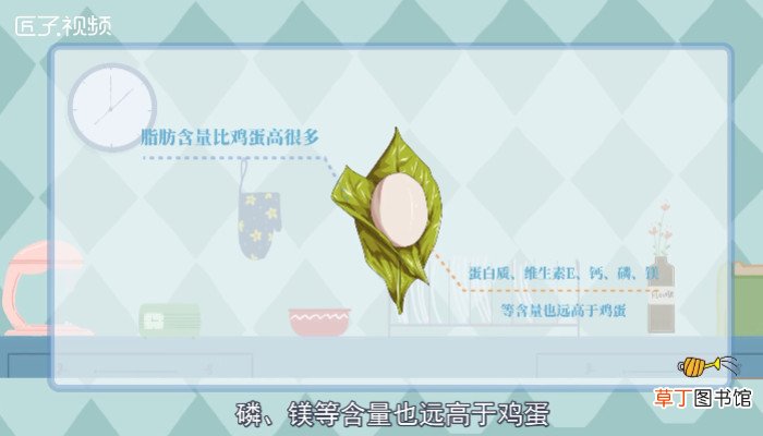 鸽子蛋与鸡蛋的营养有什么不同