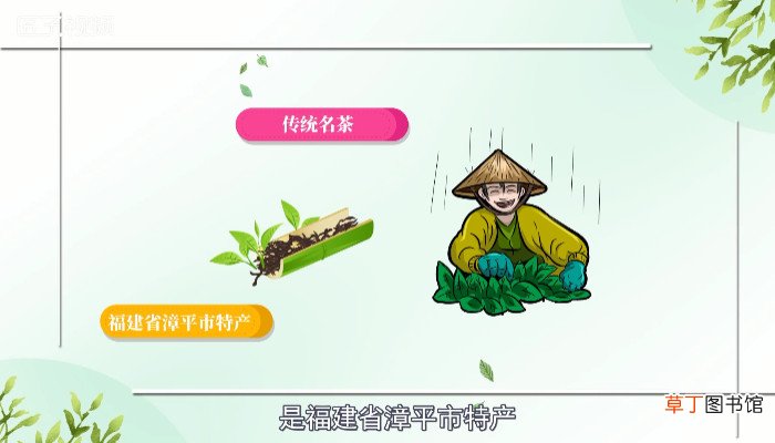 漳平水仙茶属于什么茶