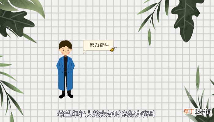 青葱岁月是什么意思