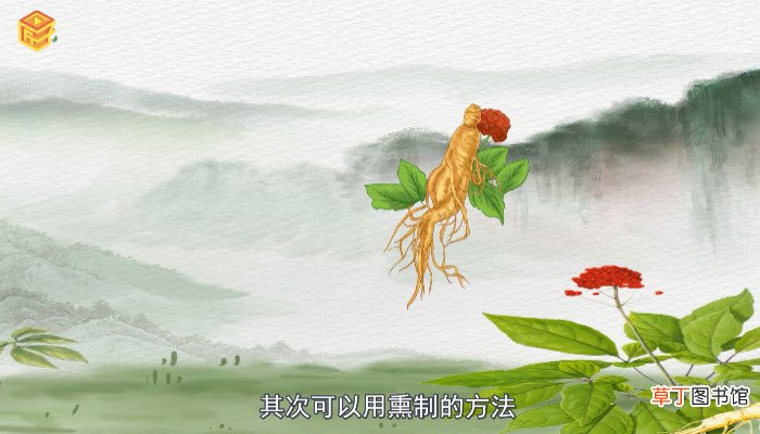 鲜人参怎么保存