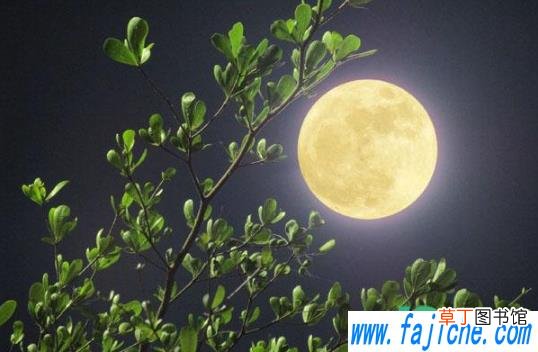 今年元宵节几点几分满月 2021元宵节什么时候月亮最圆