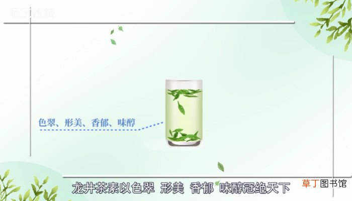 龙井是绿茶吗