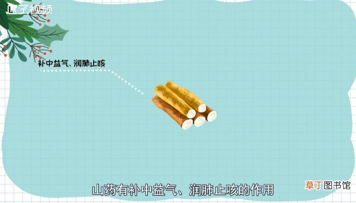 山药发芽了还能不能吃