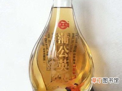 蒲公英酒如何做 蒲公英酒的制作方法