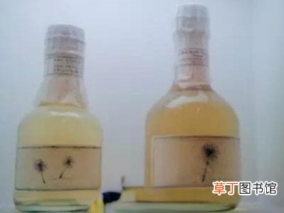 蒲公英酒如何做 蒲公英酒的制作方法