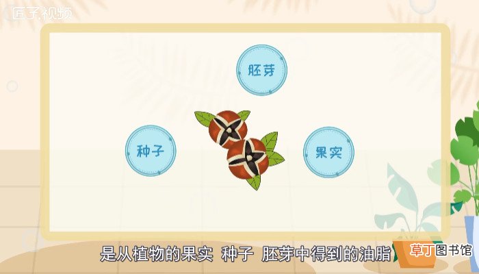 植物油有哪些