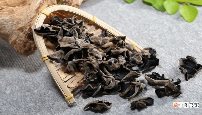 脆木耳和软木耳的区别