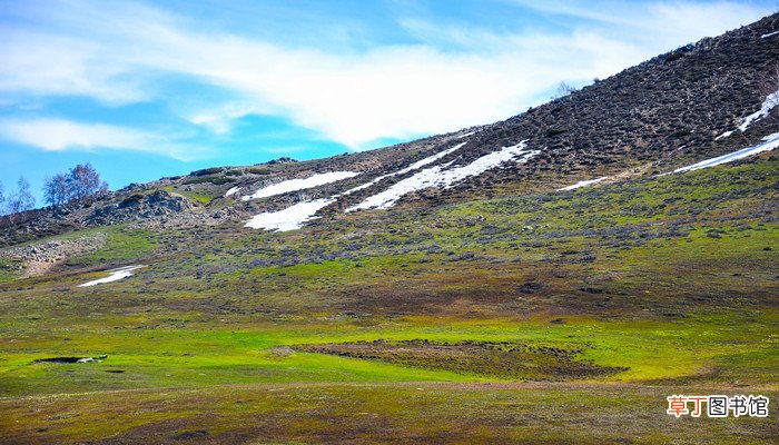 阿尔泰山在哪里