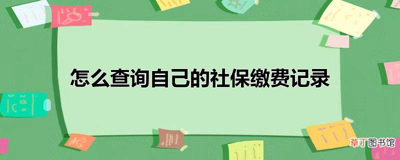 怎么查询自己的社保缴费记录
