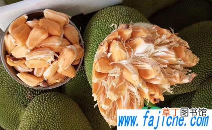 菠萝蜜掉衣服上洗的干净吗 菠萝蜜粘衣服上用什么洗