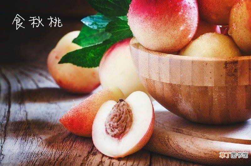 2021立秋是哪一天什么时间?今年立秋具体的时间是几点几分