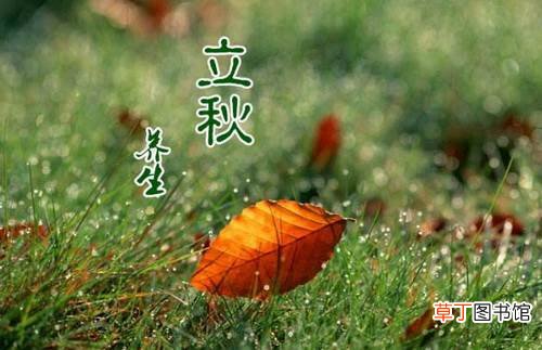 2021立秋是哪一天什么时间?今年立秋具体的时间是几点几分
