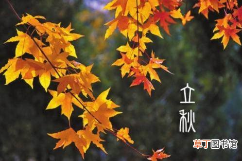 立秋祝福语2021?立秋发朋友圈的唯美句子