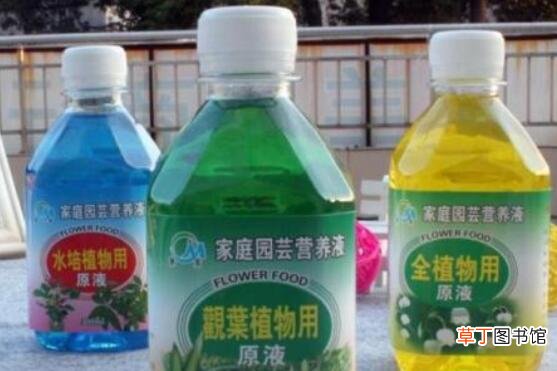 在家用什么代替营养液 如何自制营养液