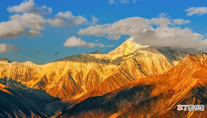 金山在哪里