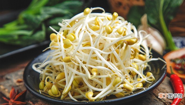 豆芽是凉性还是热性
