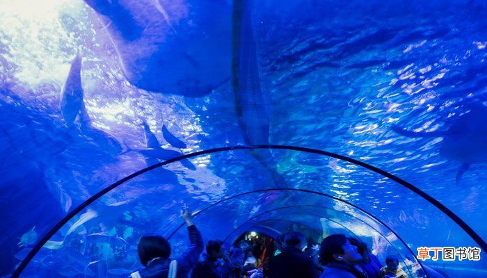 海底隧道是在海底下吗