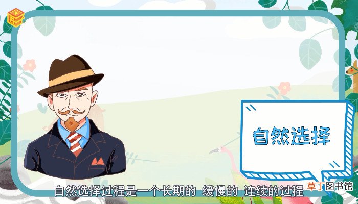 适者生存下一句