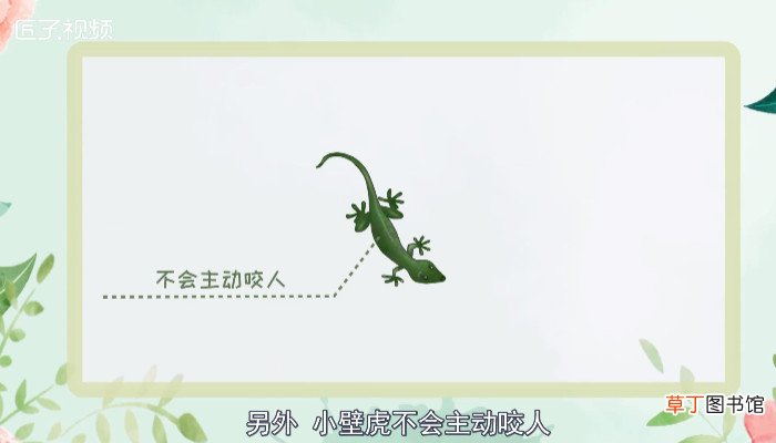 小壁虎有毒吗会咬人吗