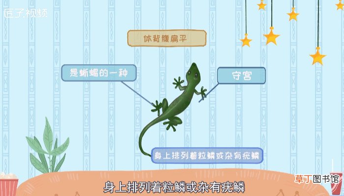 小壁虎有毒吗会咬人吗