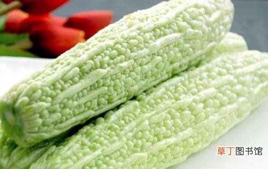 夏季老人多吃这6种瓜 降温养胃促进新陈代谢