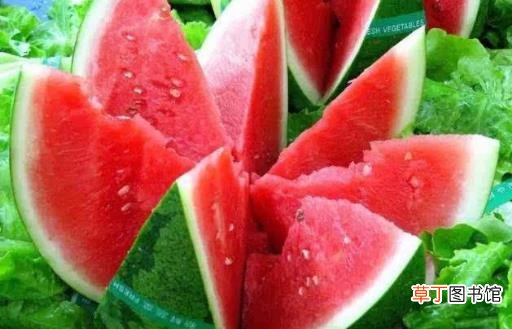 夏季老人多吃这6种瓜 降温养胃促进新陈代谢
