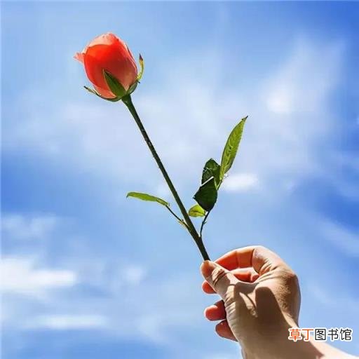 闲鱼买东西靠谱吗 闲鱼怎么卖东西