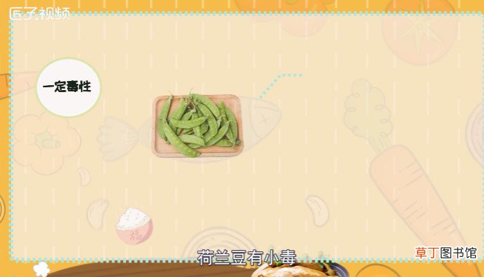 荷兰豆不熟有毒吗