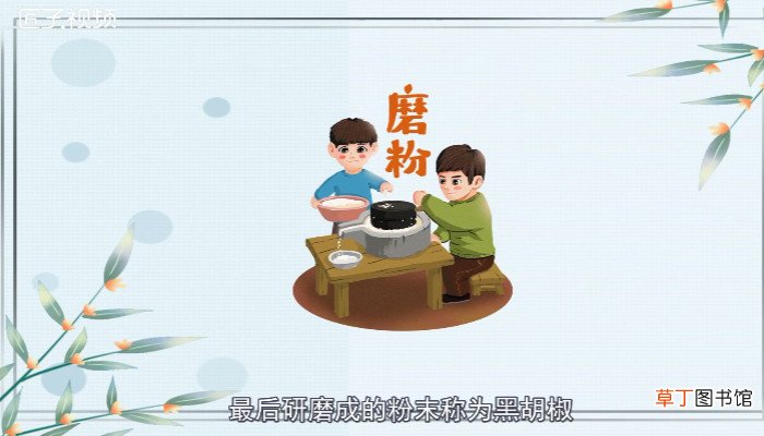 白胡椒和黑胡椒的区别