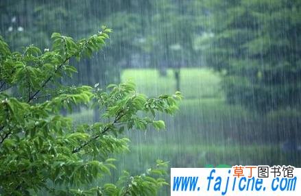 梅雨季节家里的东西都长毛了该去处理 2021梅雨季节怎样防止家里发霉