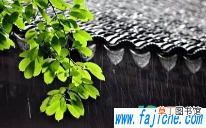 梅雨季节家里的东西都长毛了该去处理 2021梅雨季节怎样防止家里发霉