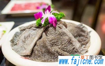 毛肚需要焯水才能炒么 新鲜毛肚要焯水才能下火锅吗