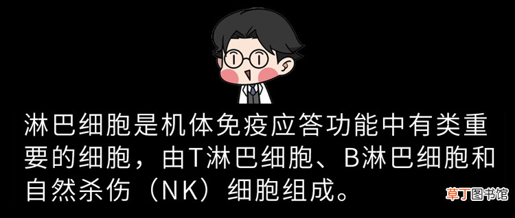 维生素C功效多，怎么吃更健康？20种维C爆表的食物，一次性告诉你
