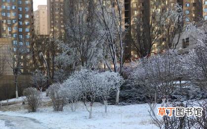 东北看雪景一般几月份2022?东北一般下雪到几月份?东北什么时候下大雪