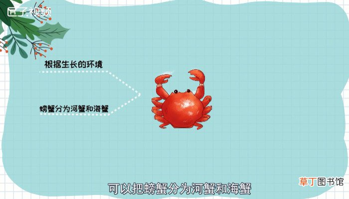 海蟹死了能不能吃了
