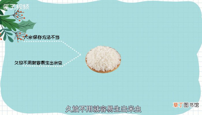 大米怎么保存不生虫子