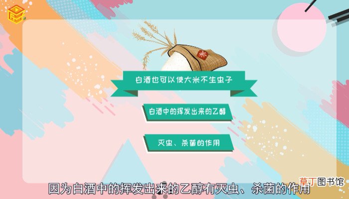 大米怎么保存不生虫子