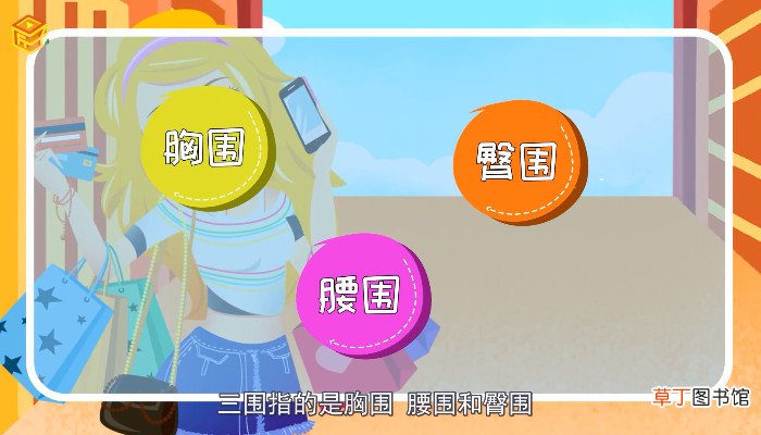 三围是哪三围