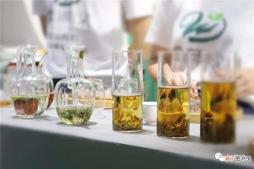 开茶叶店的步骤有哪些 如何开茶叶店
