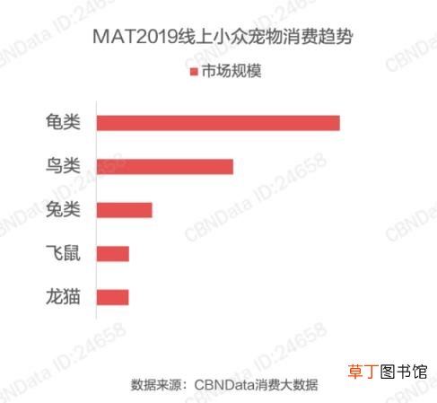 宠物市场前景如何 宠物市场推荐