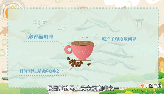 猫屎咖啡的由来
