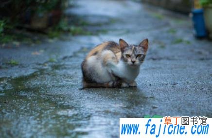 上海梅雨季节持续多久 2021年上海梅雨季节几月份到几月份