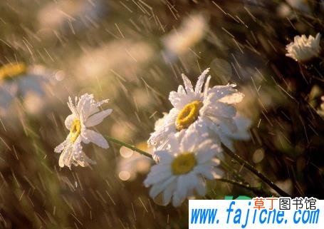 上海梅雨季节持续多久 2021年上海梅雨季节几月份到几月份
